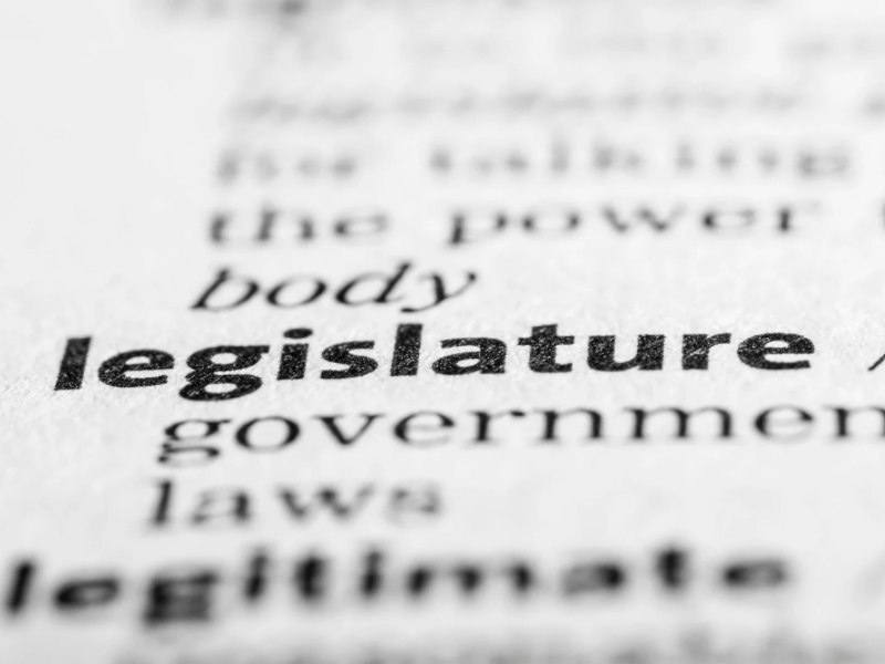 Explained: Why New York Legislative Sessions are Two Years Long